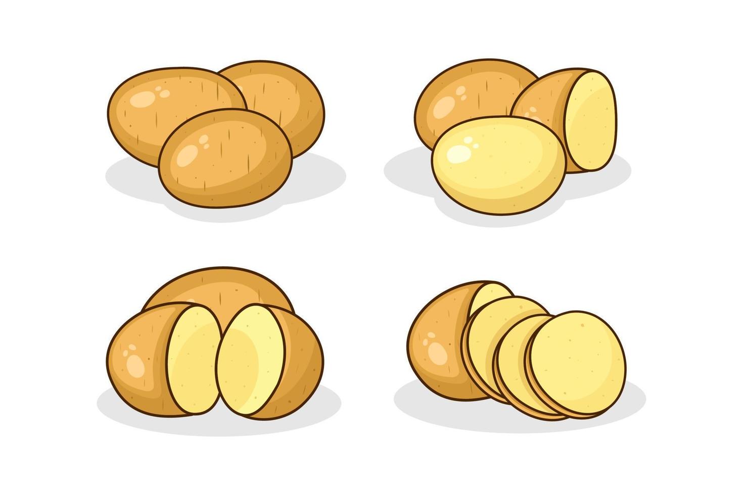 Peeled and unpeeled whole potato vector image design illustration