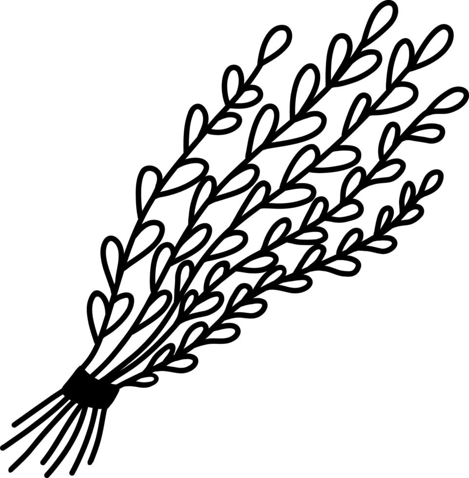 Black and white illustration of willow twigs.Young twigs of pussy willow with fluffy earrings highlighted on a white background. Vector element for floral design, illustration of the Slavic Christian
