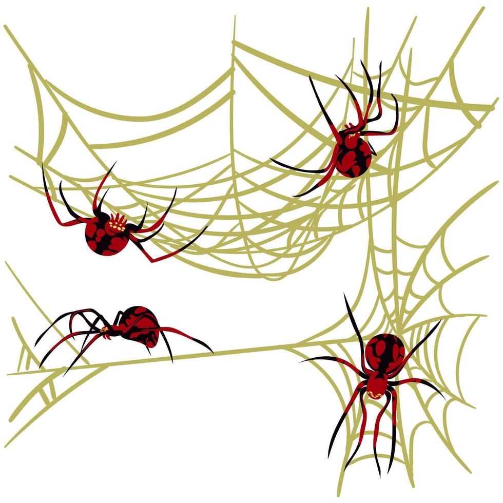 araña web antecedentes para Víspera de Todos los Santos saludo tarjetas en un blanco antecedentes. un negro y rojo araña en un amarillo telaraña caza y tejidos redes arañas desde diferente lados peligroso araña y telaraña vector