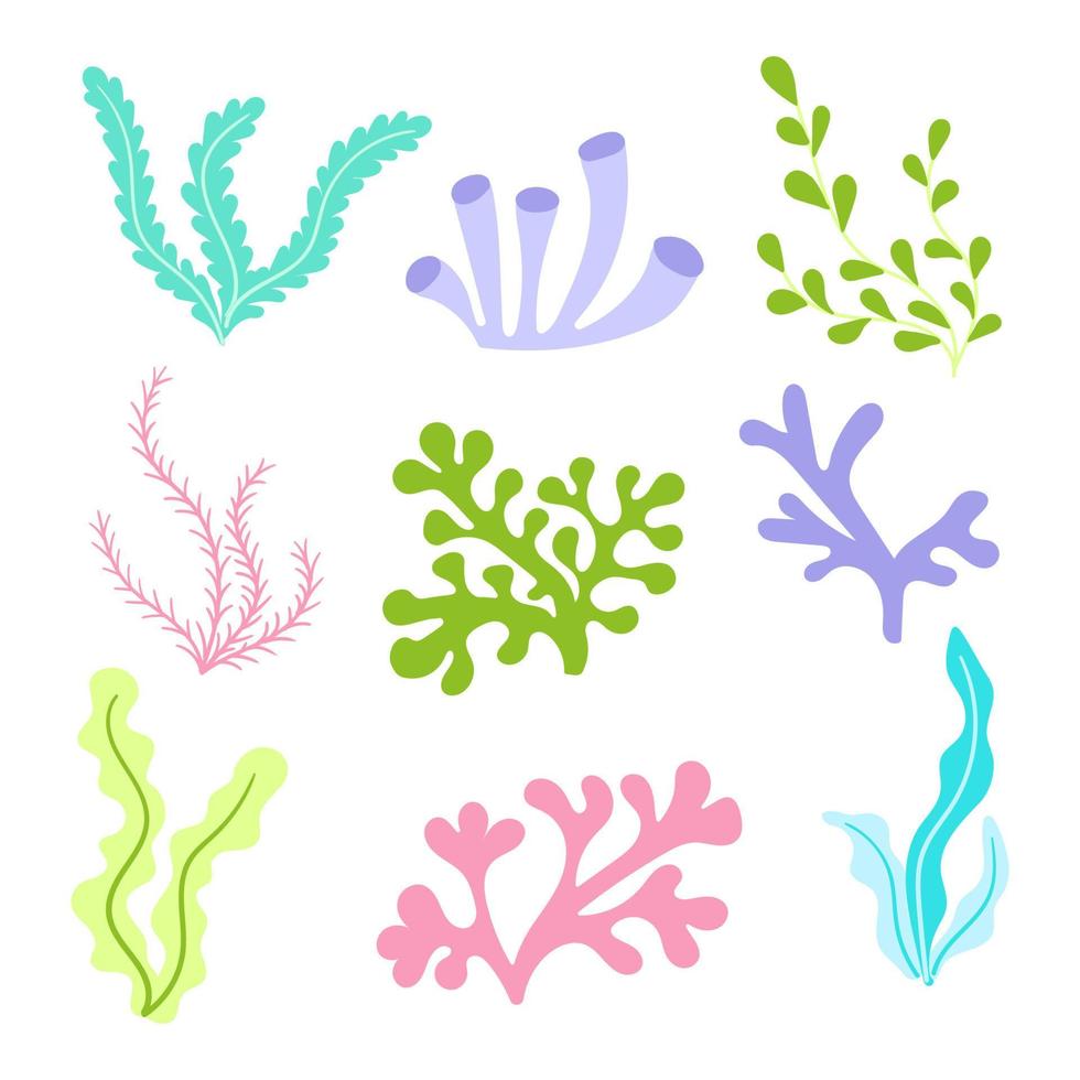 set of seaweed flat vector cartoon color illustration on white background