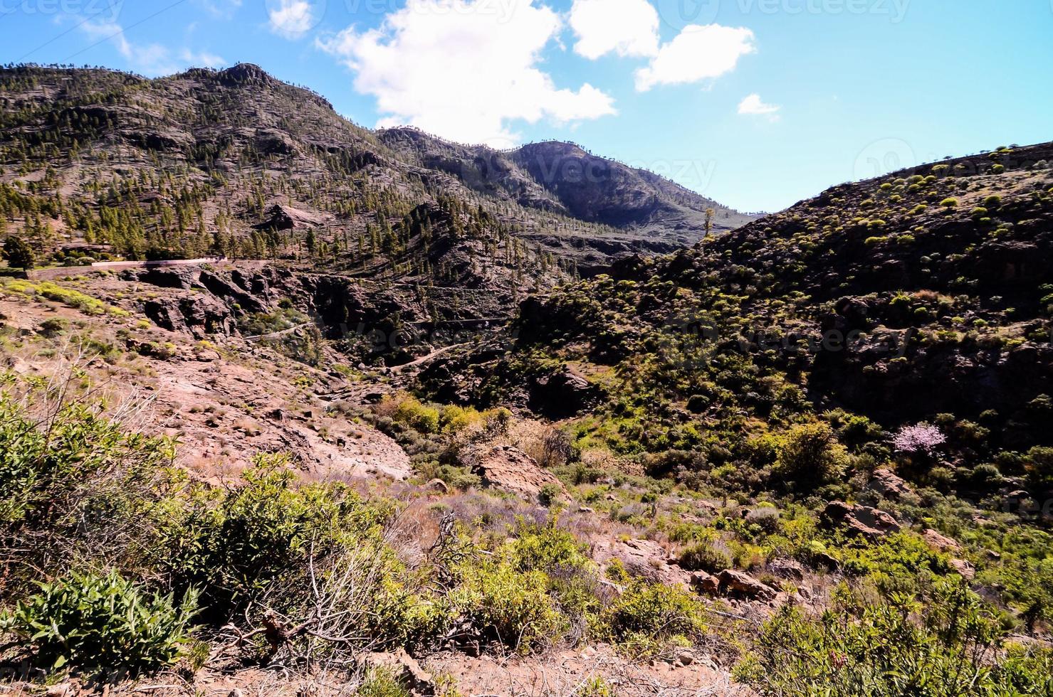 escénico rural paisaje foto