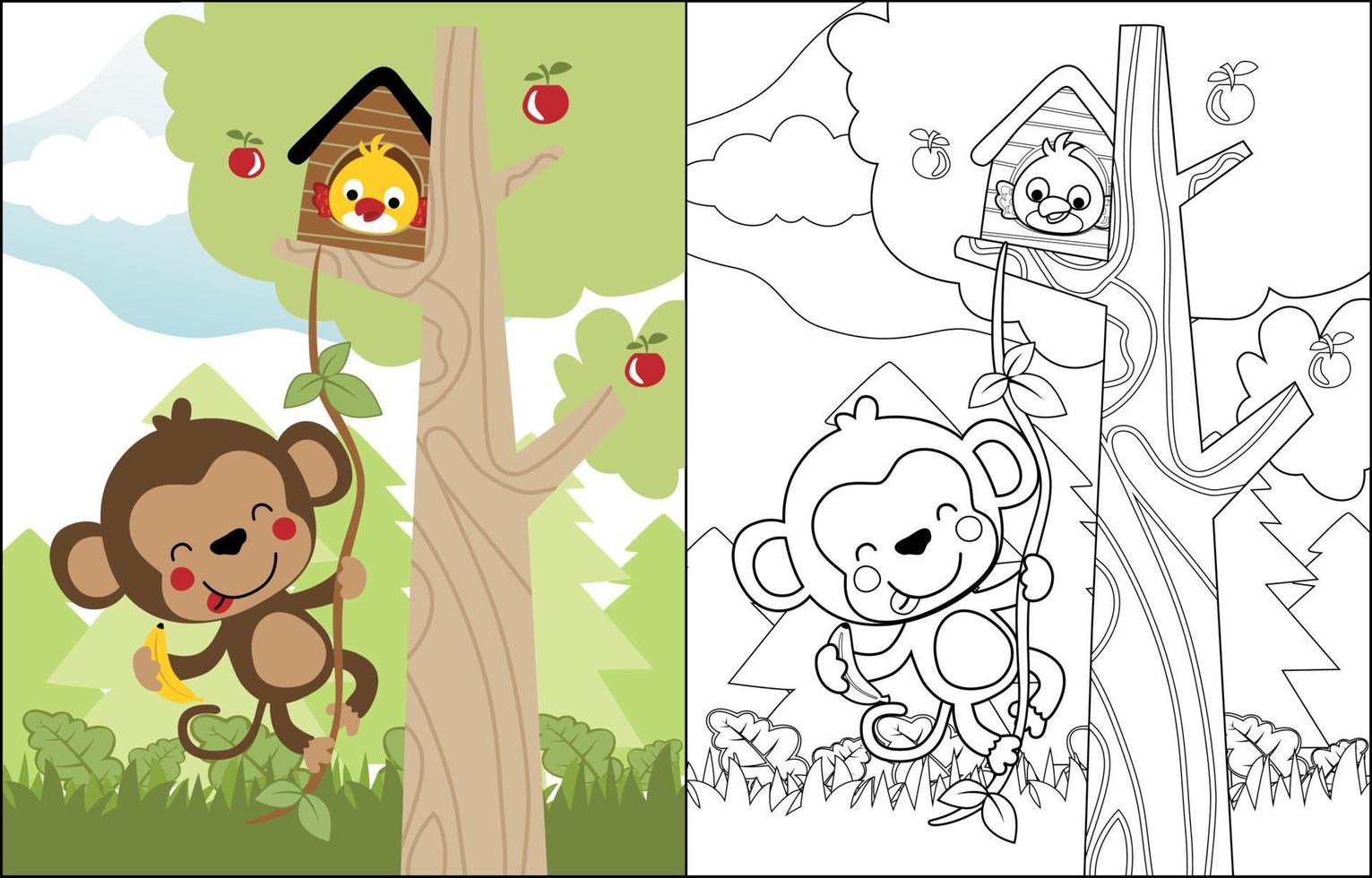 vector cartoon of funny monkey with bird in cage on tree, coloring book or page