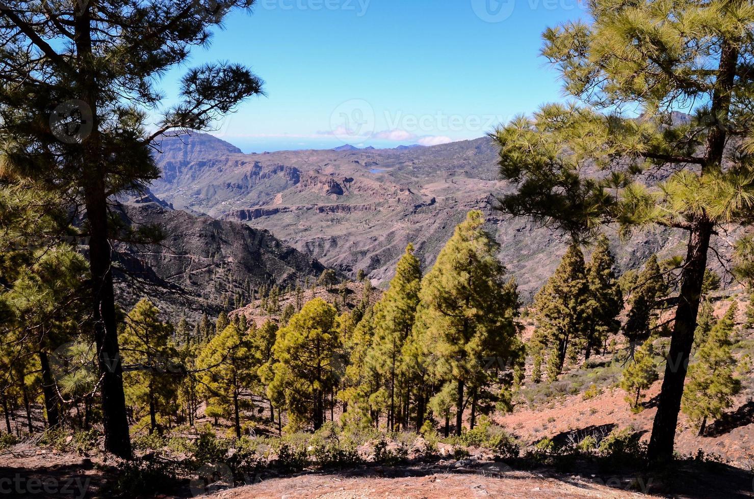 Scenic rural landscape photo