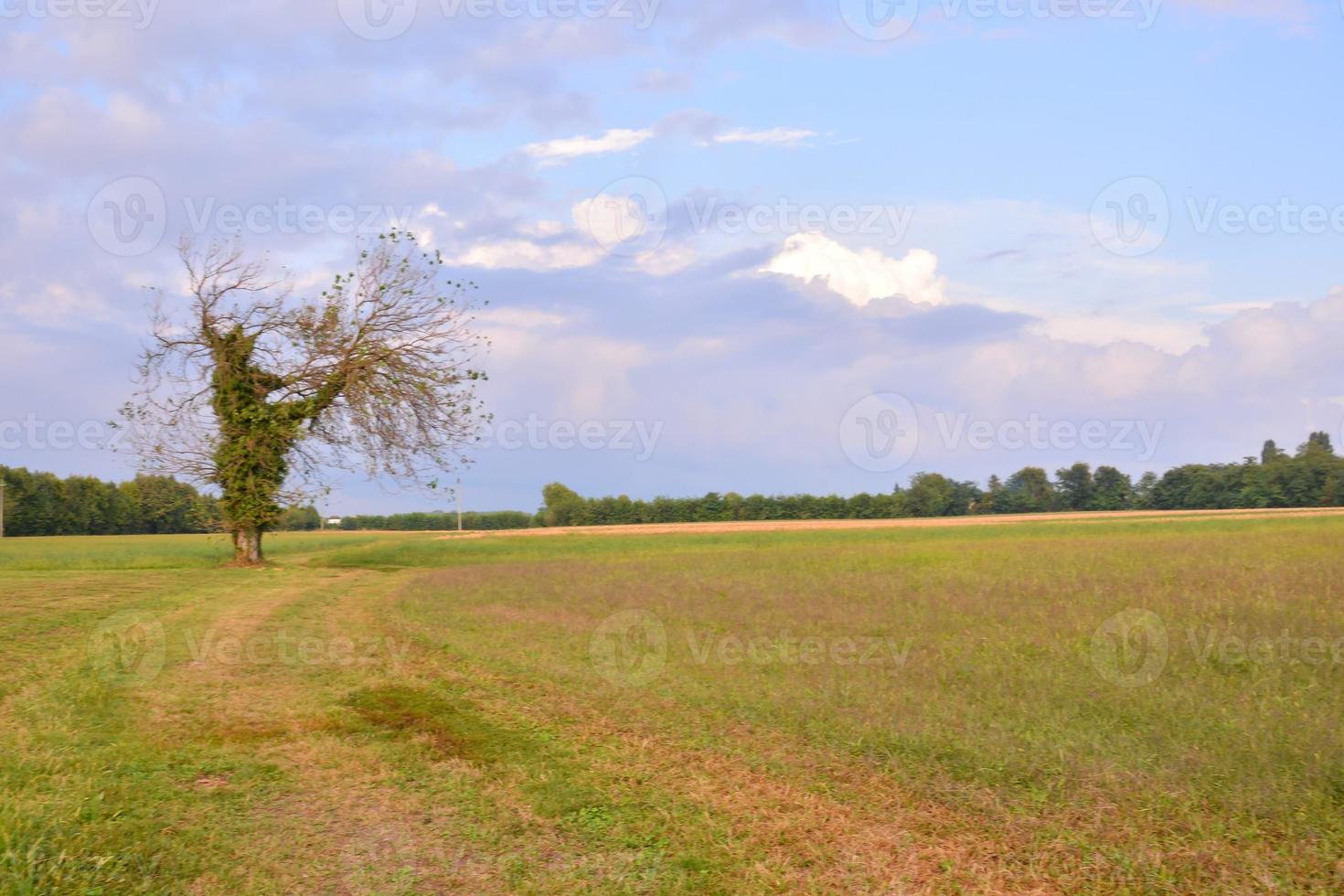 Scenic rural landscape photo