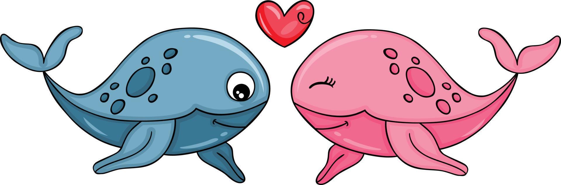 gracioso Pareja de ballenas con corazón vector