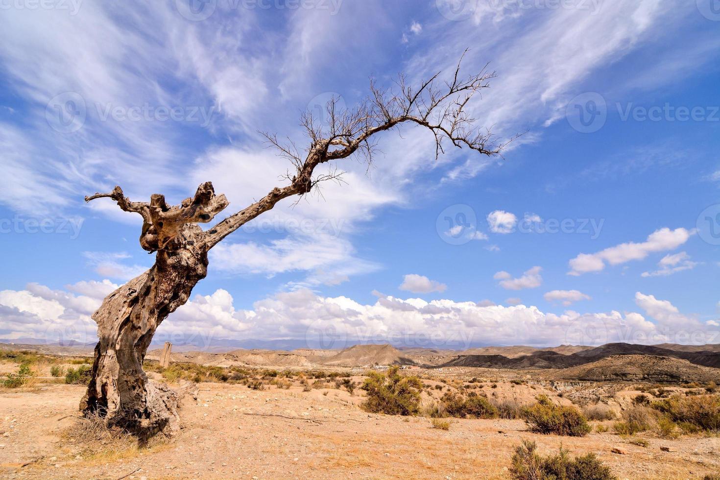 Scenic rural landscape photo