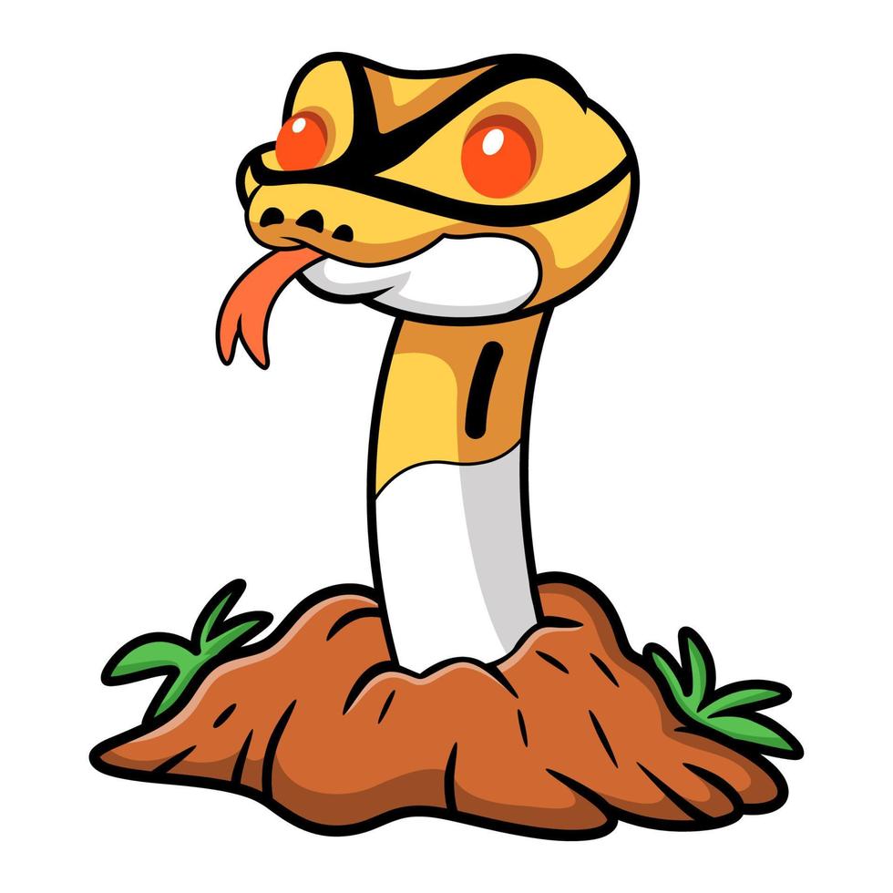 Cute albino pied ball python cartoon out from hole vector