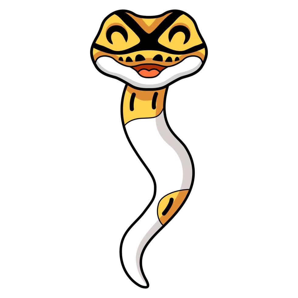 Cute albino pied ball python cartoon vector