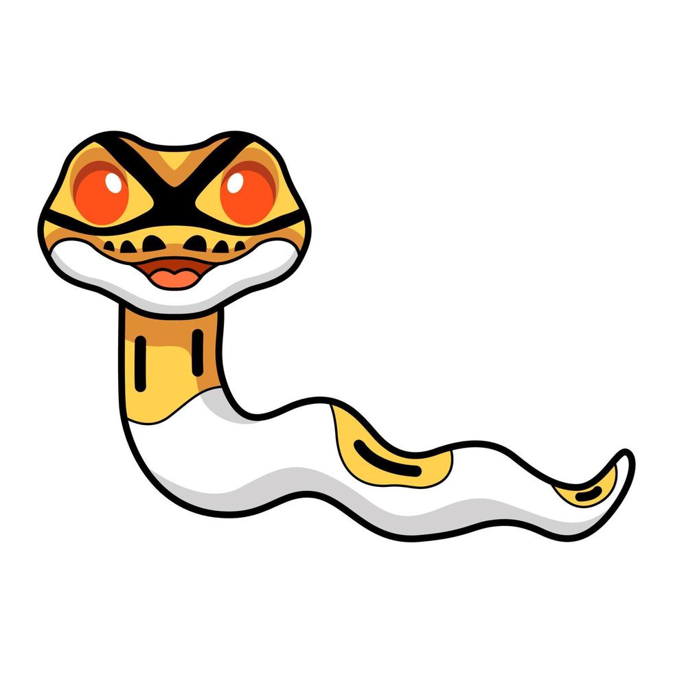 Cute albino pied ball python cartoon vector