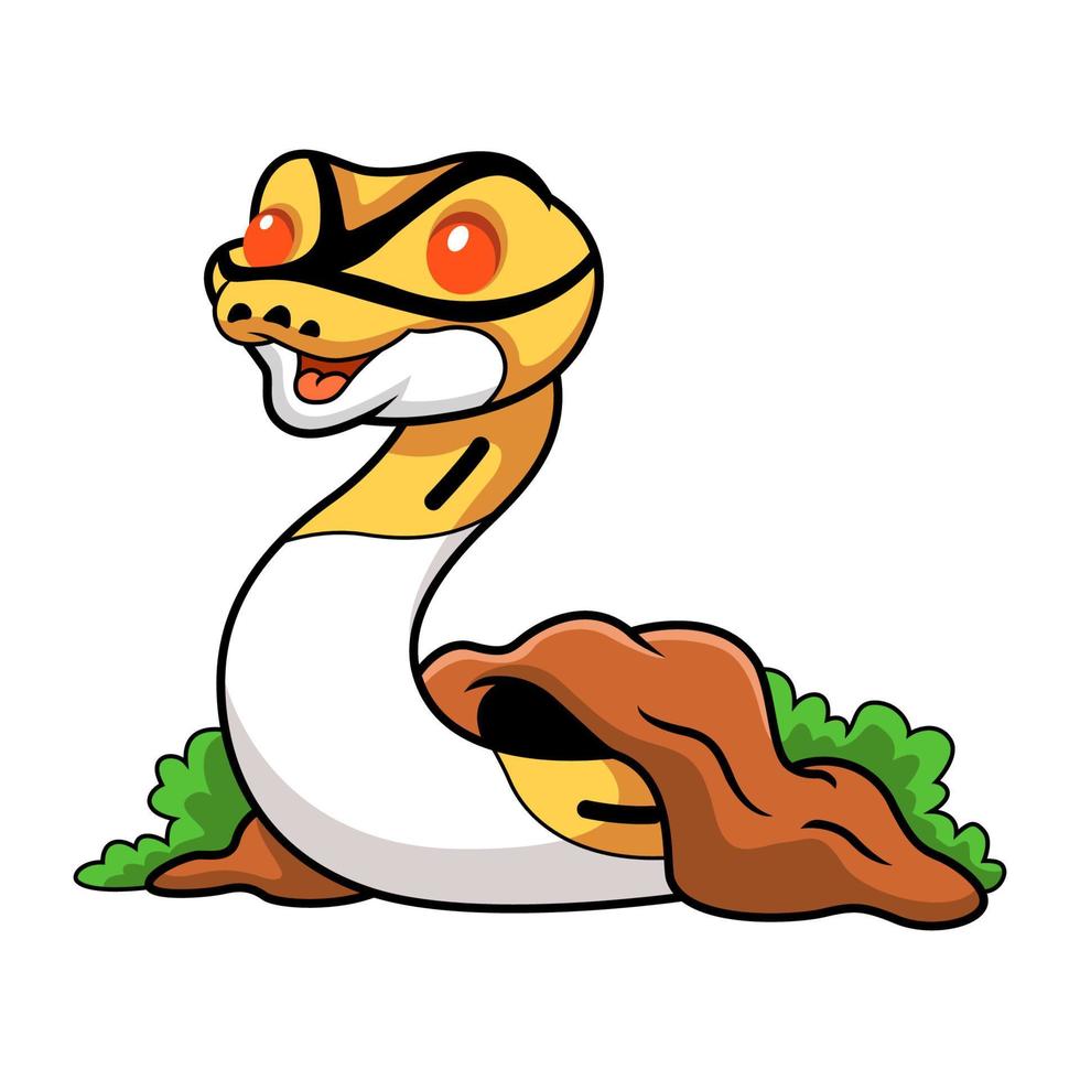 Cute albino pied ball python cartoon out from hole vector
