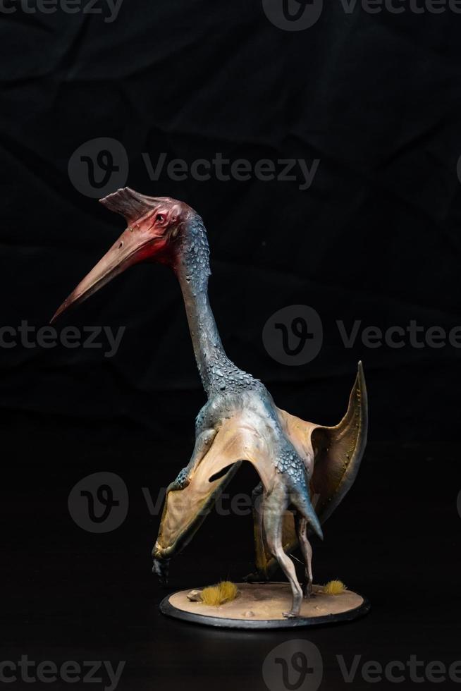 The Pterosaur  dinosaur  in the dark photo