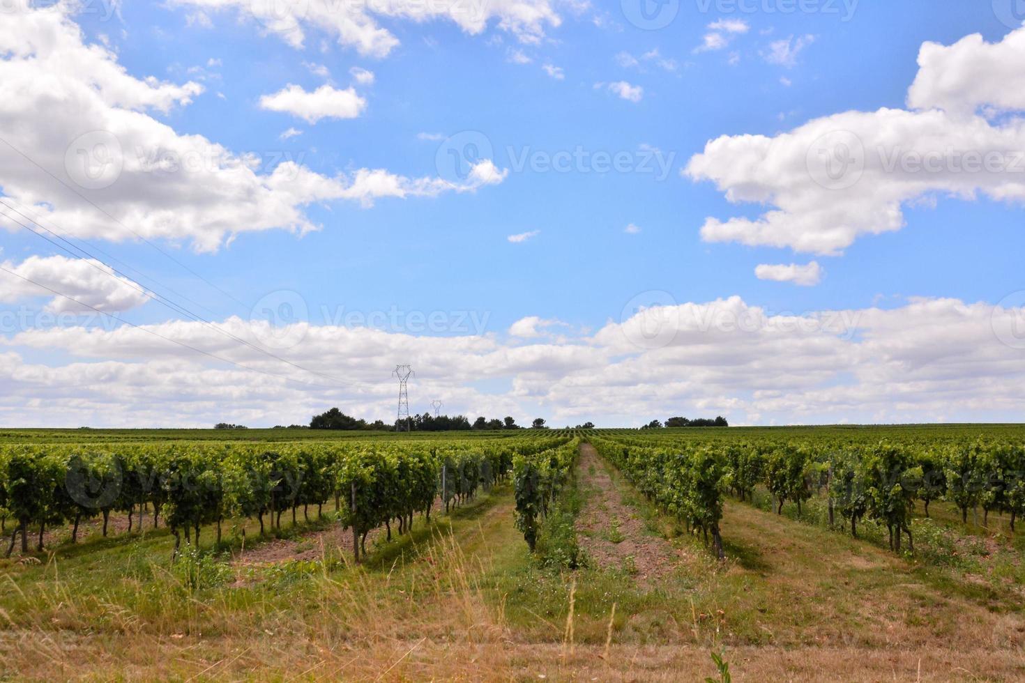 Scenic rural landscape photo