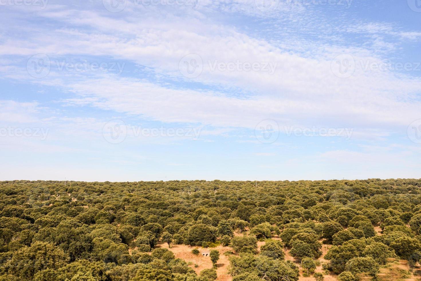 Scenic rural landscape photo