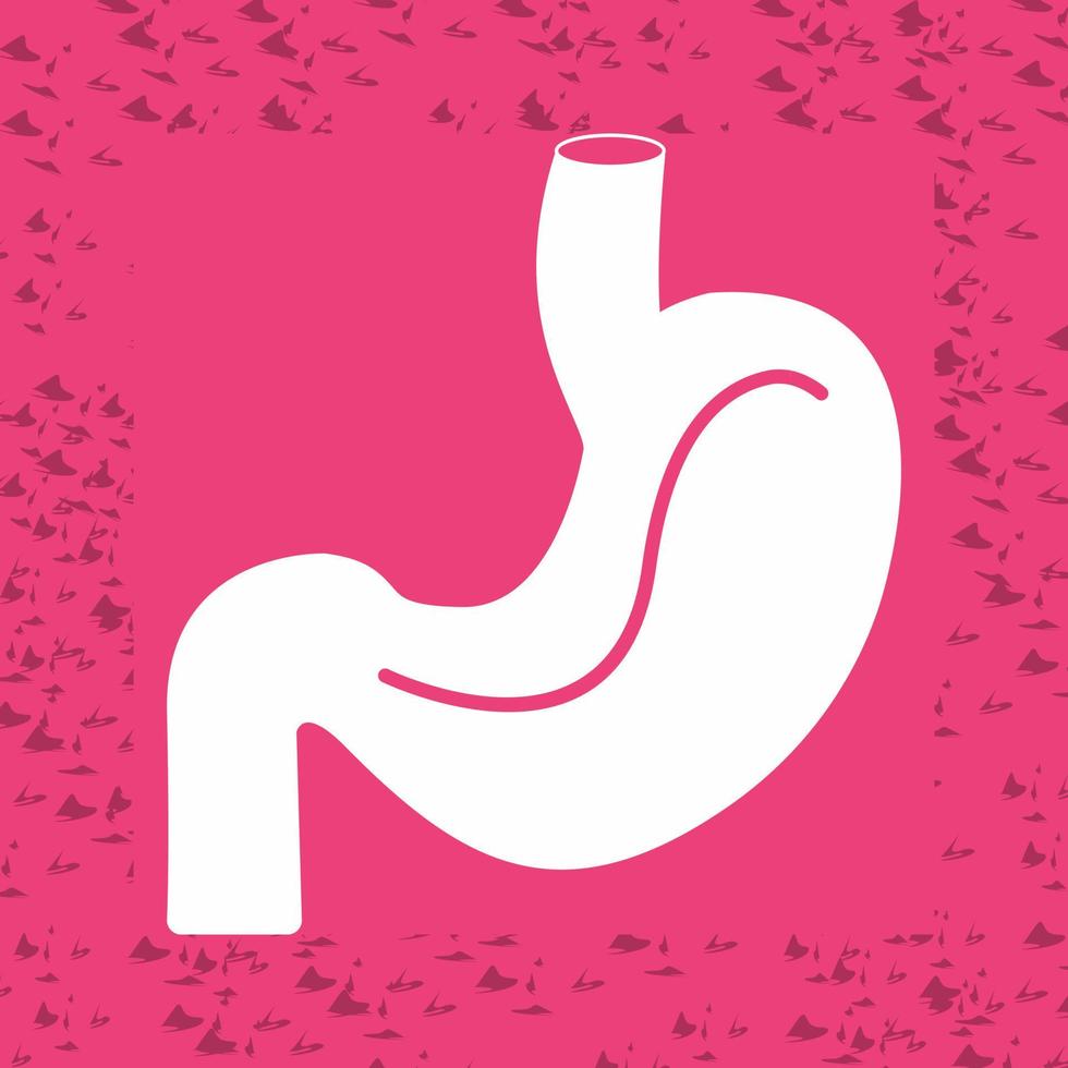 Stomach Vector Icon