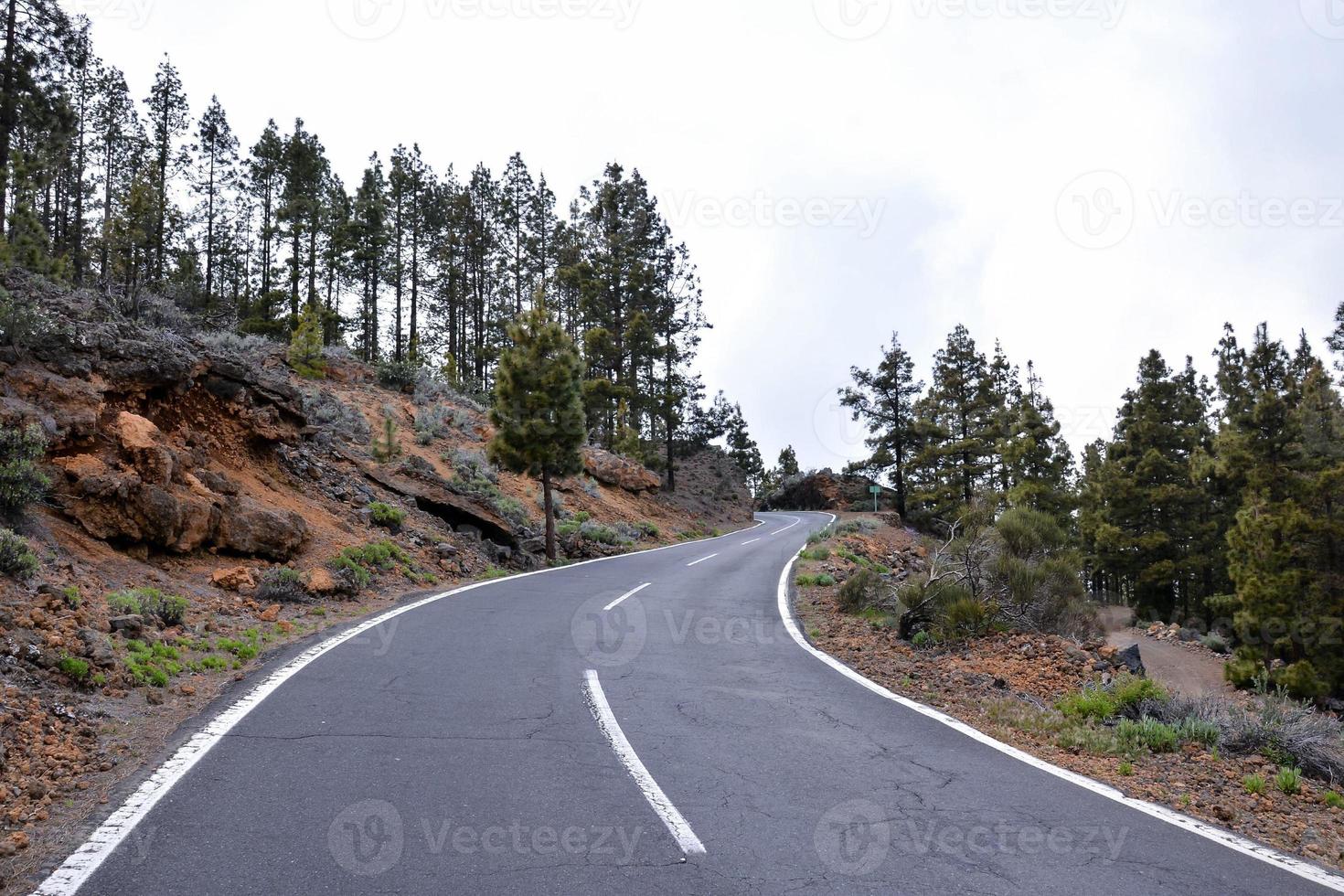 Road in the countryside photo