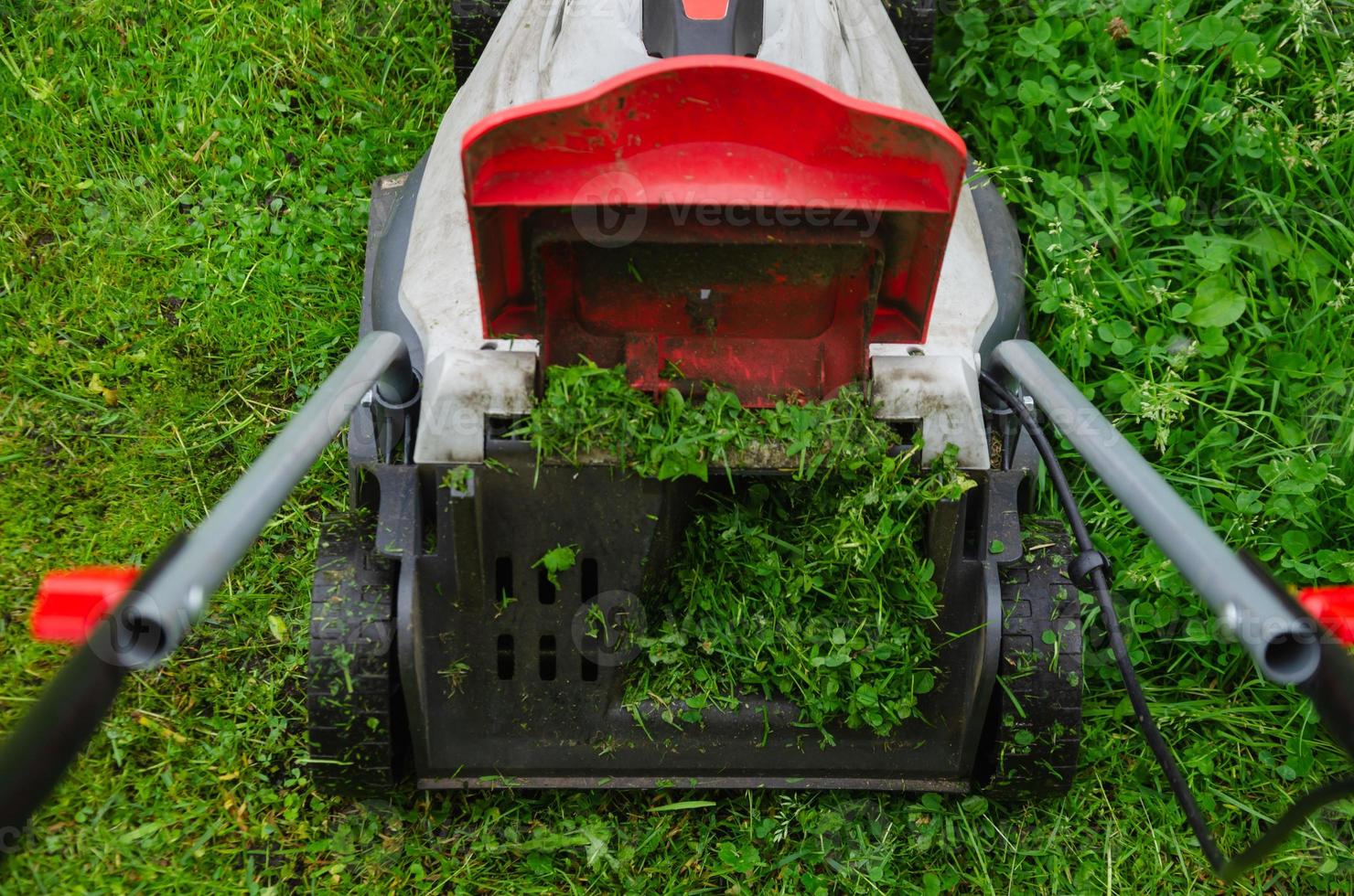 lawn mower mows grass on the lawn photo