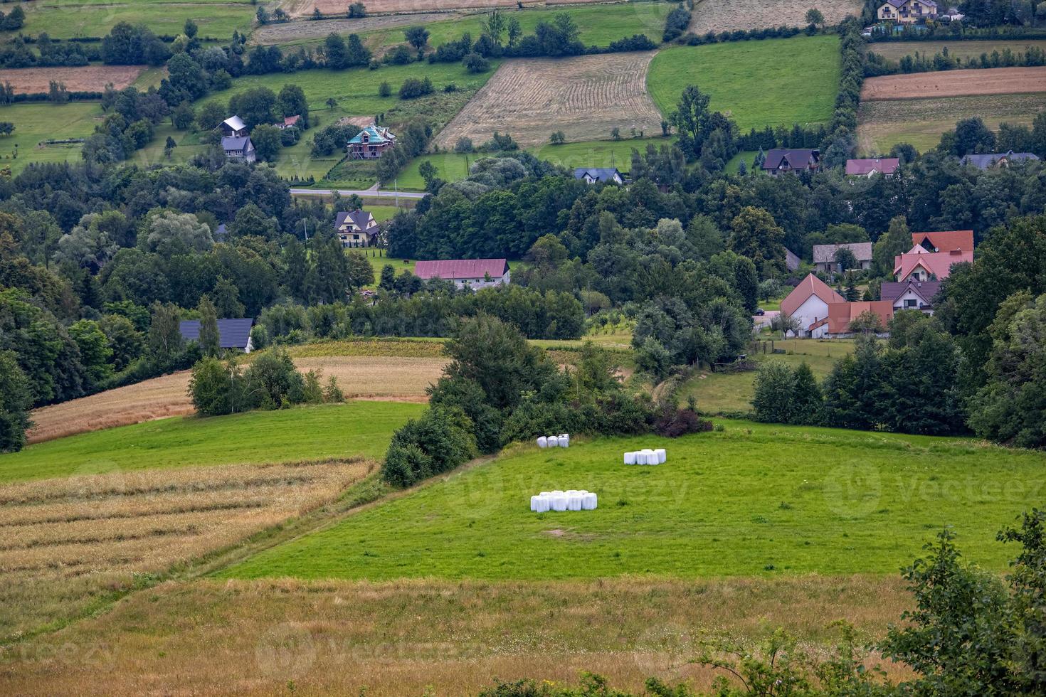 verano paisaje con polaco montañas en un nublado día foto