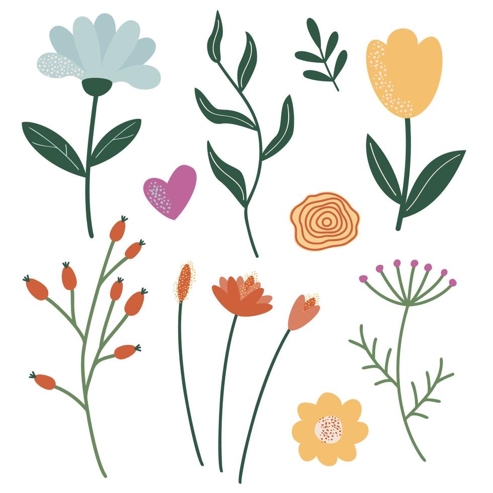 A set of leaves and flowers for decoration. vector