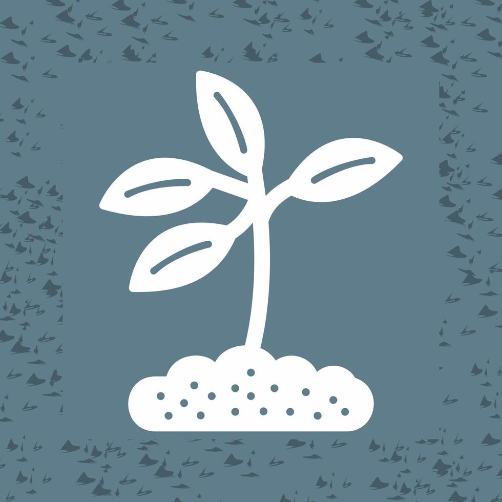 Plant Vector Icon