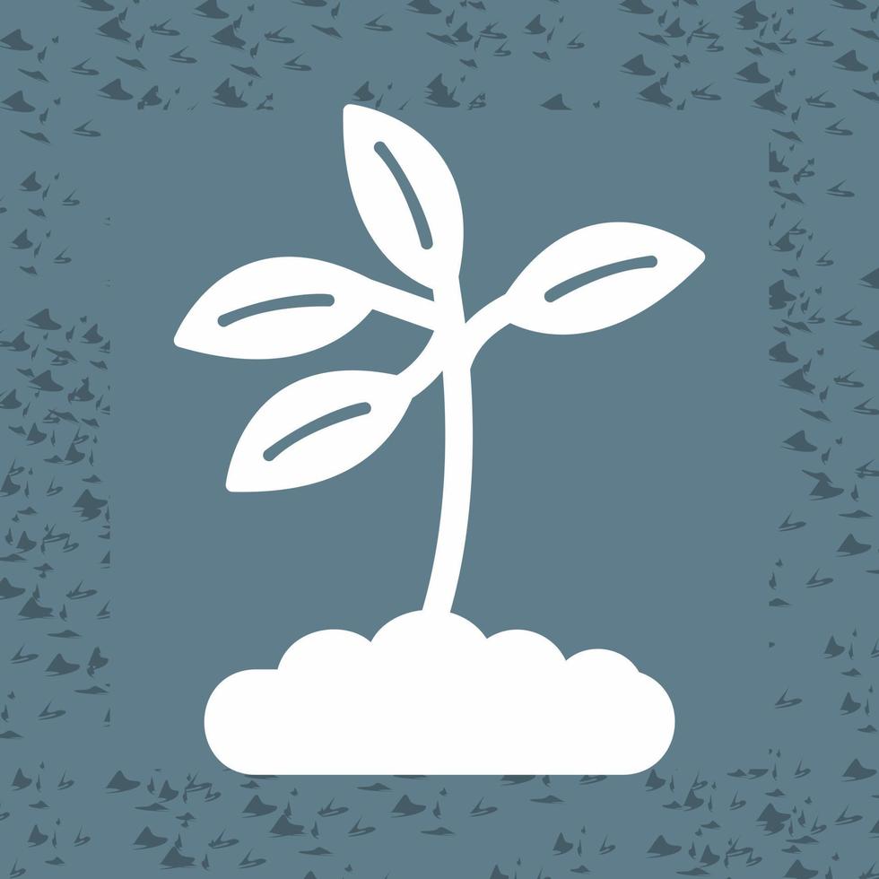 Plant Vector Icon