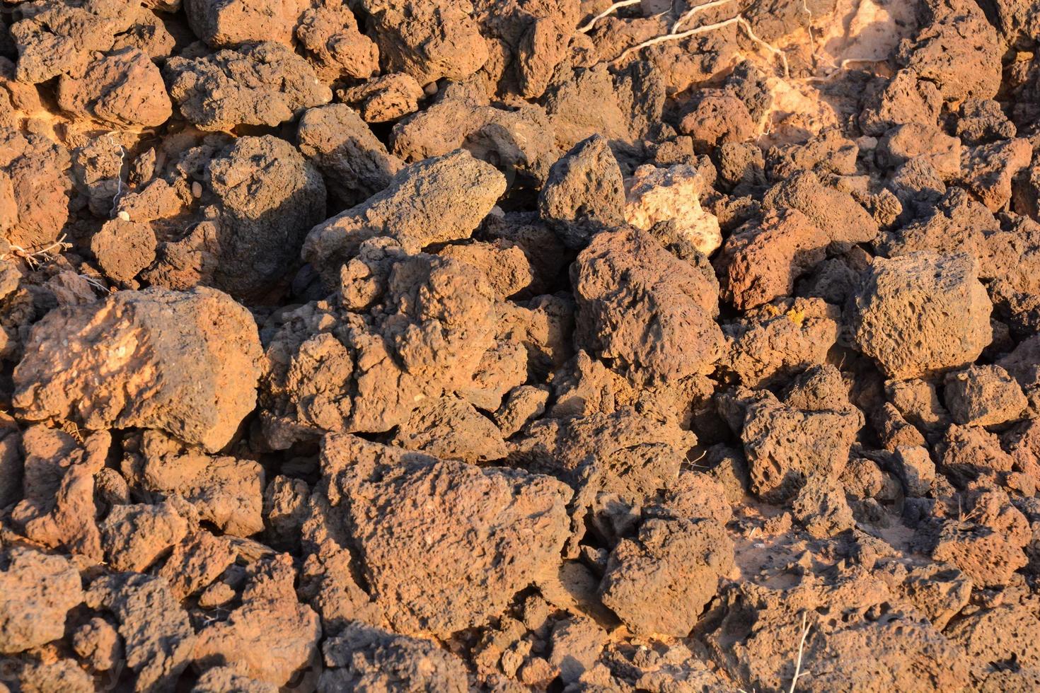 A soil texture photo