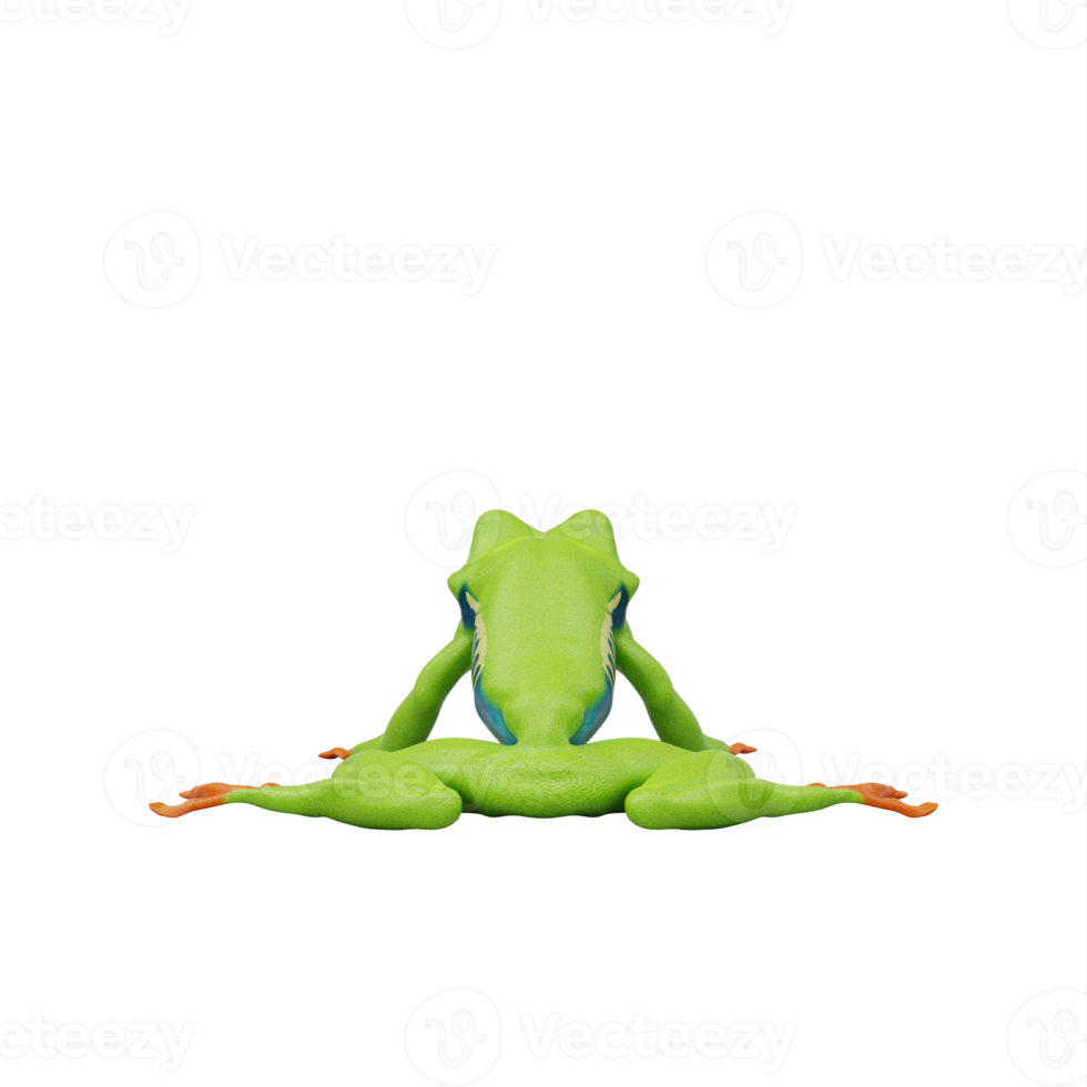 Red eyed tree frog png