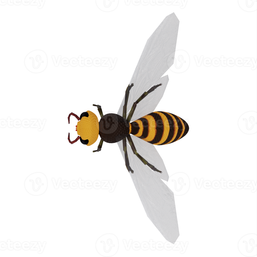 3d Wasp isolated png