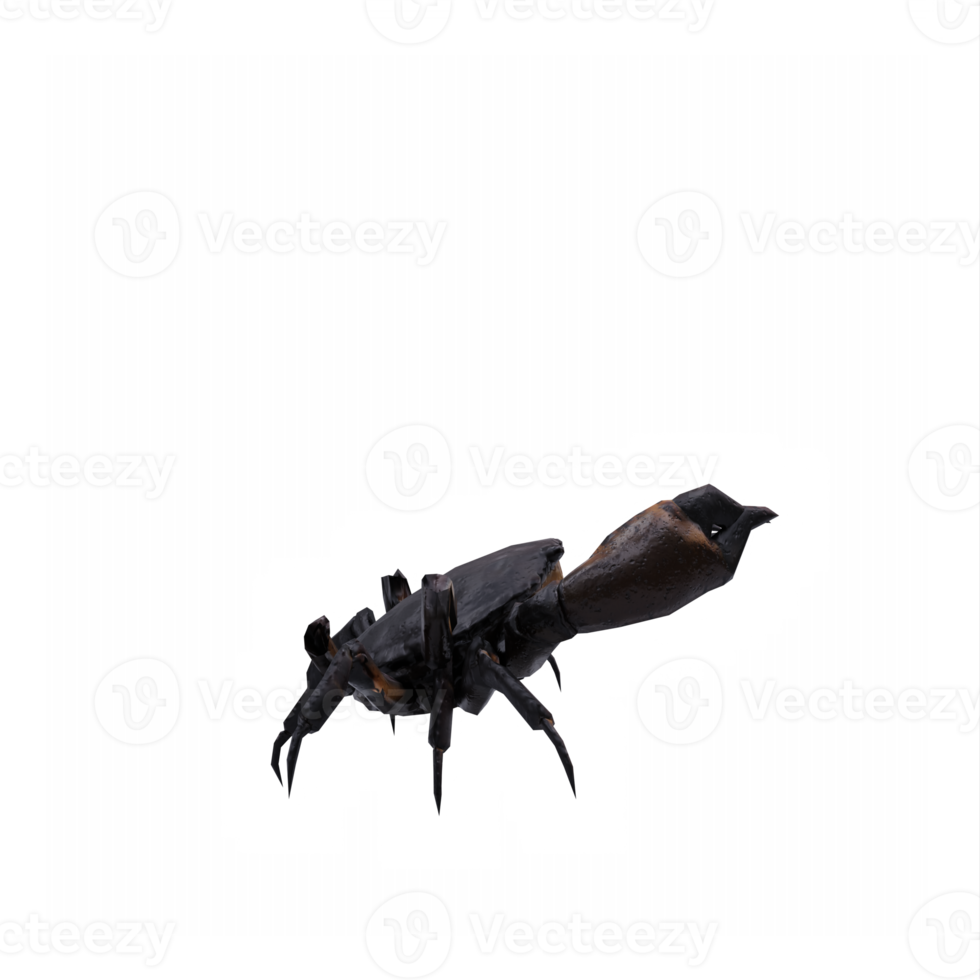 crabe 3d isolé png