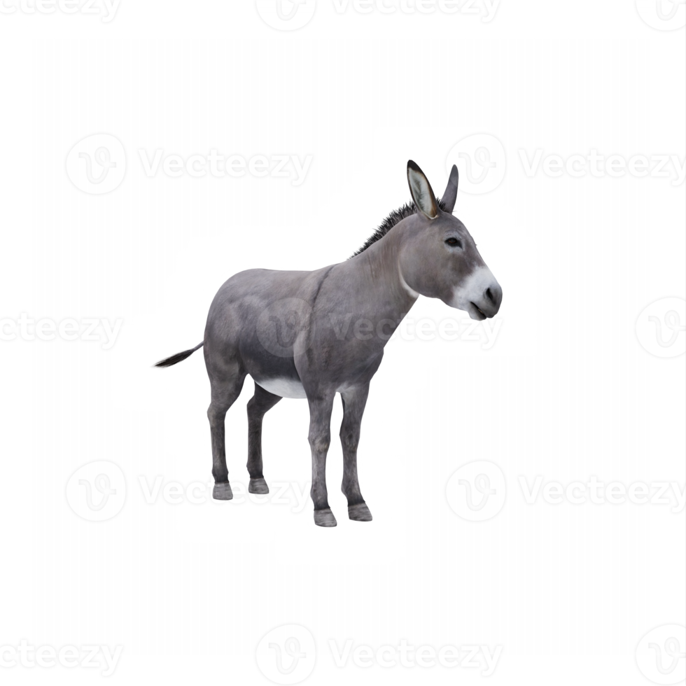 3d Donkey isolated png