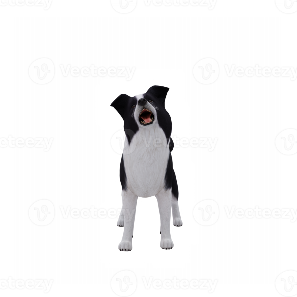 3d perro border collie png