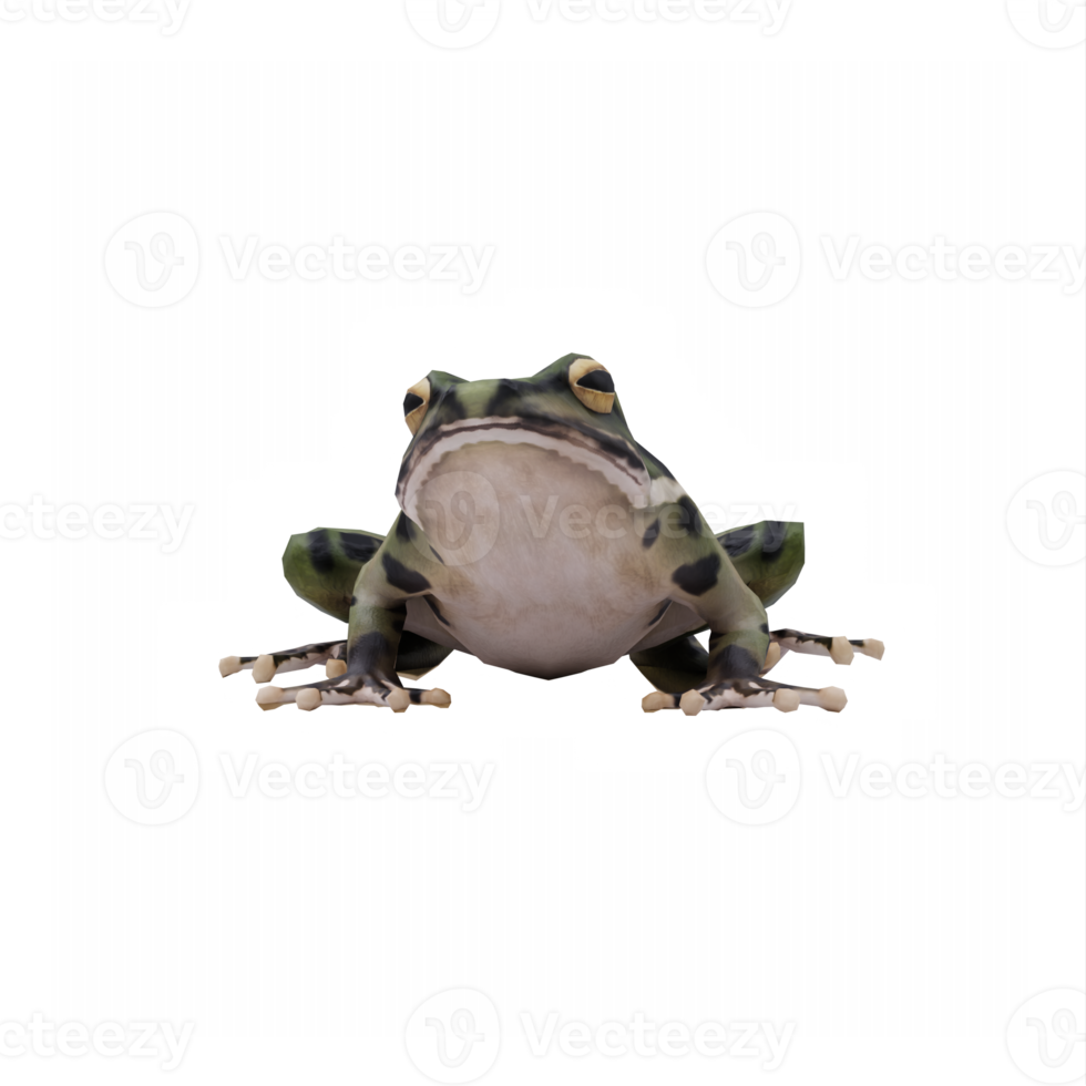 3d grenouille isolé png