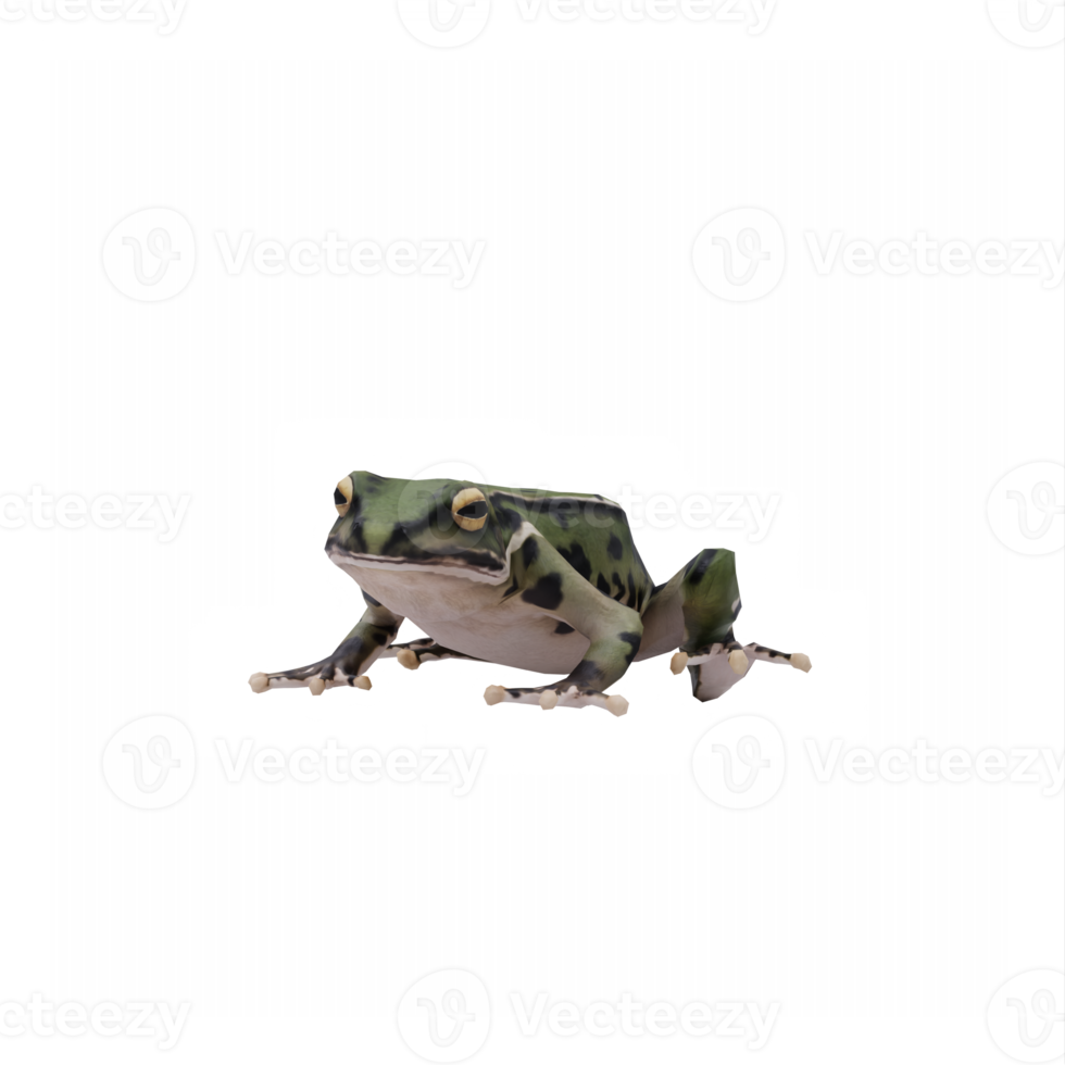 3d grenouille isolé png