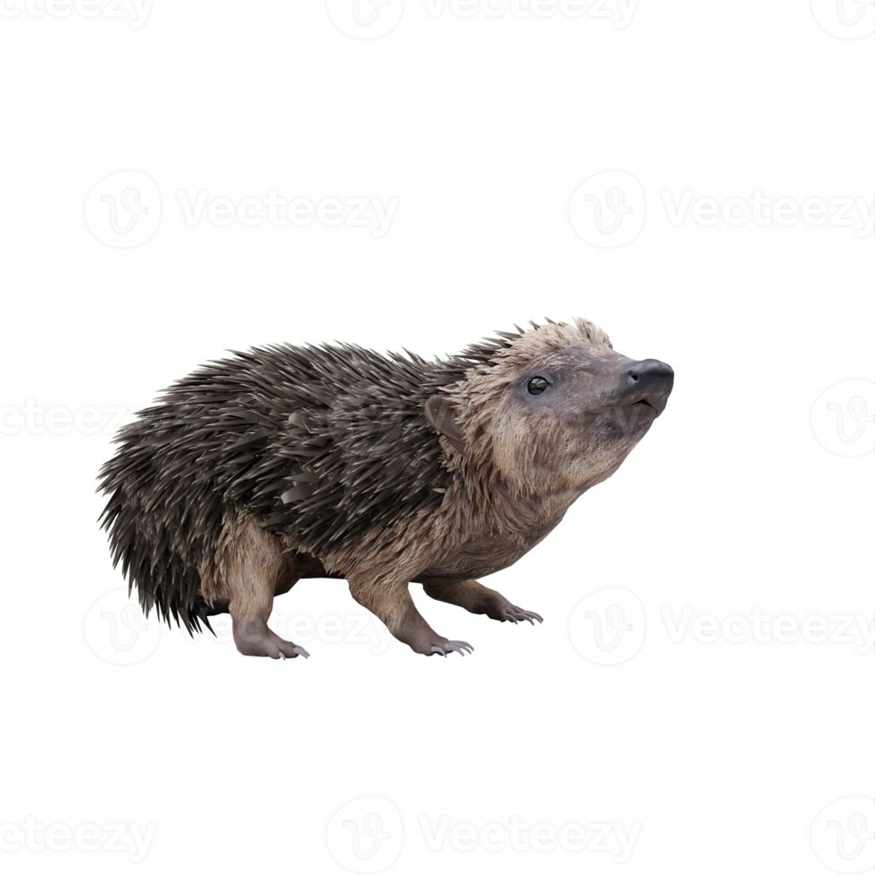 3d Hedgehog isolated png