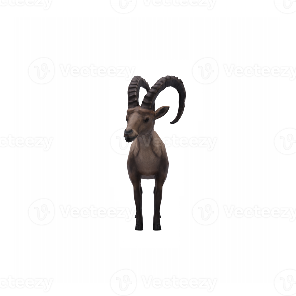 3d Ibex isolated png