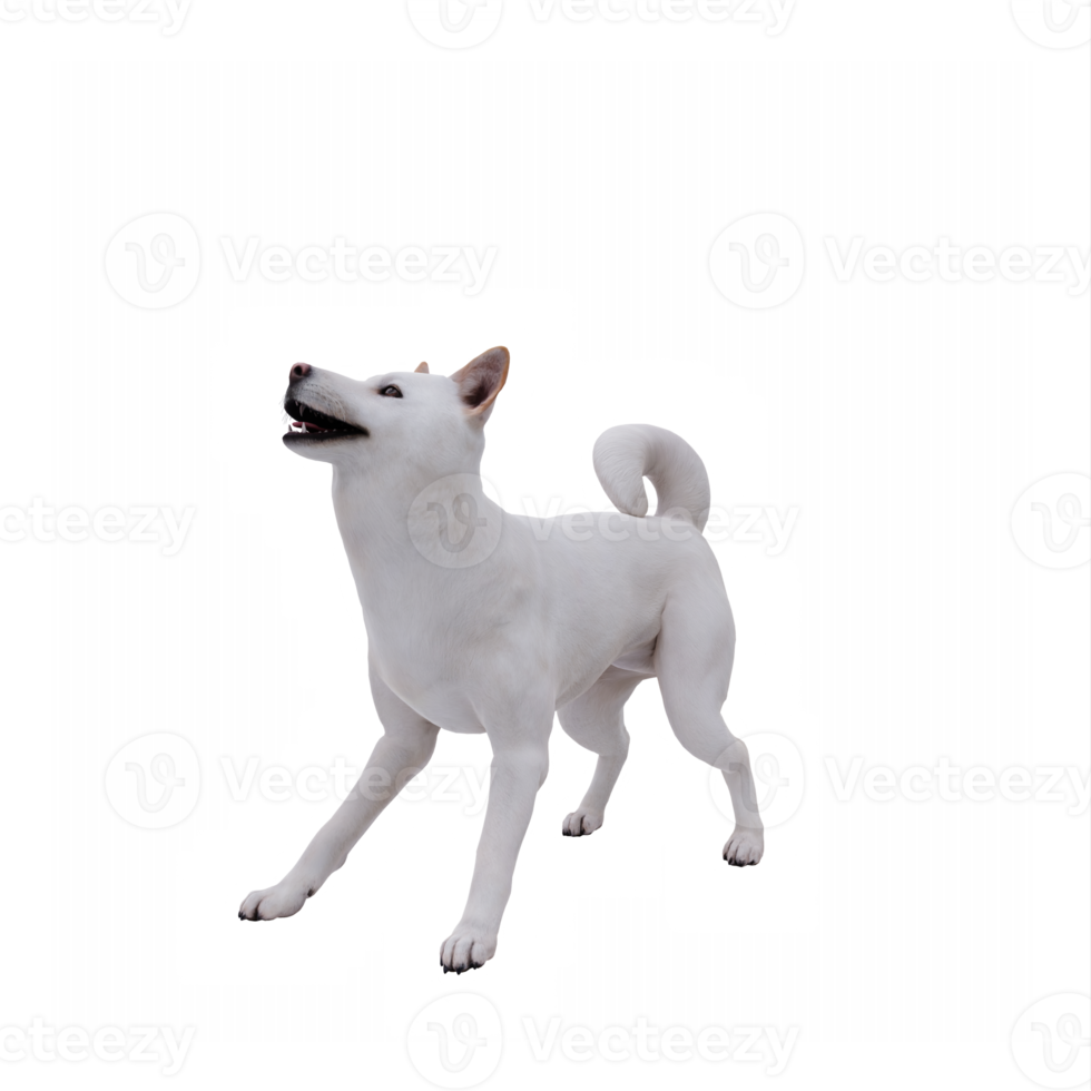 3d Jindo Dog png