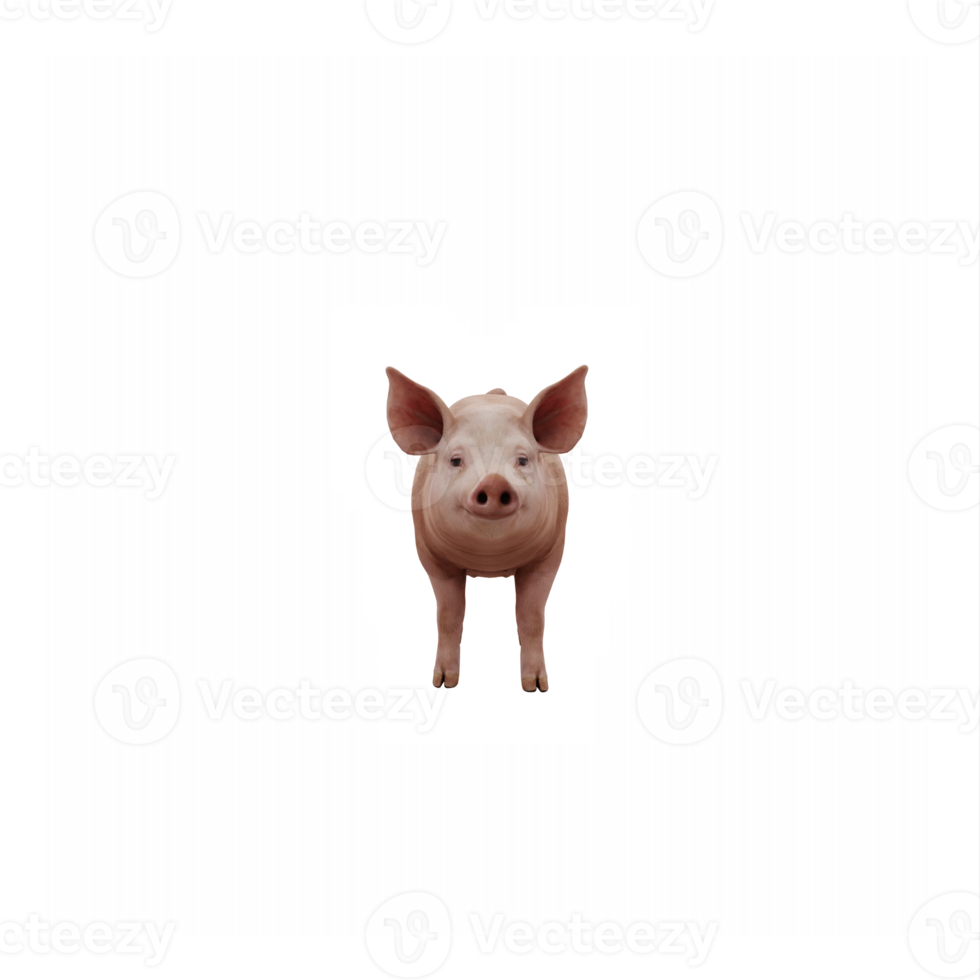 3d cute pig isolated png