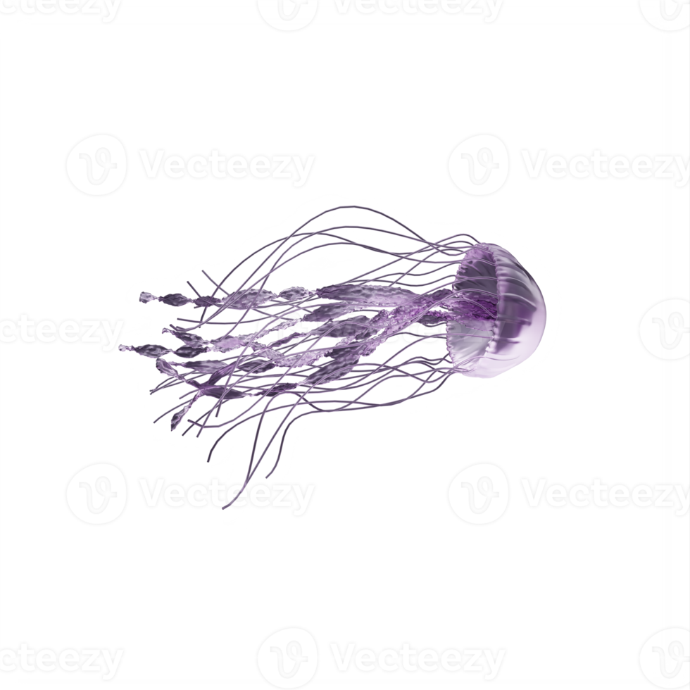 3d jellyfish isolated png