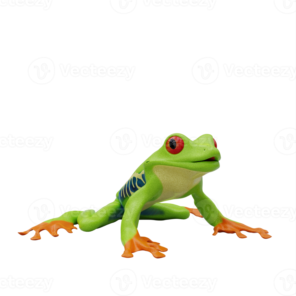 Red eyed tree frog png