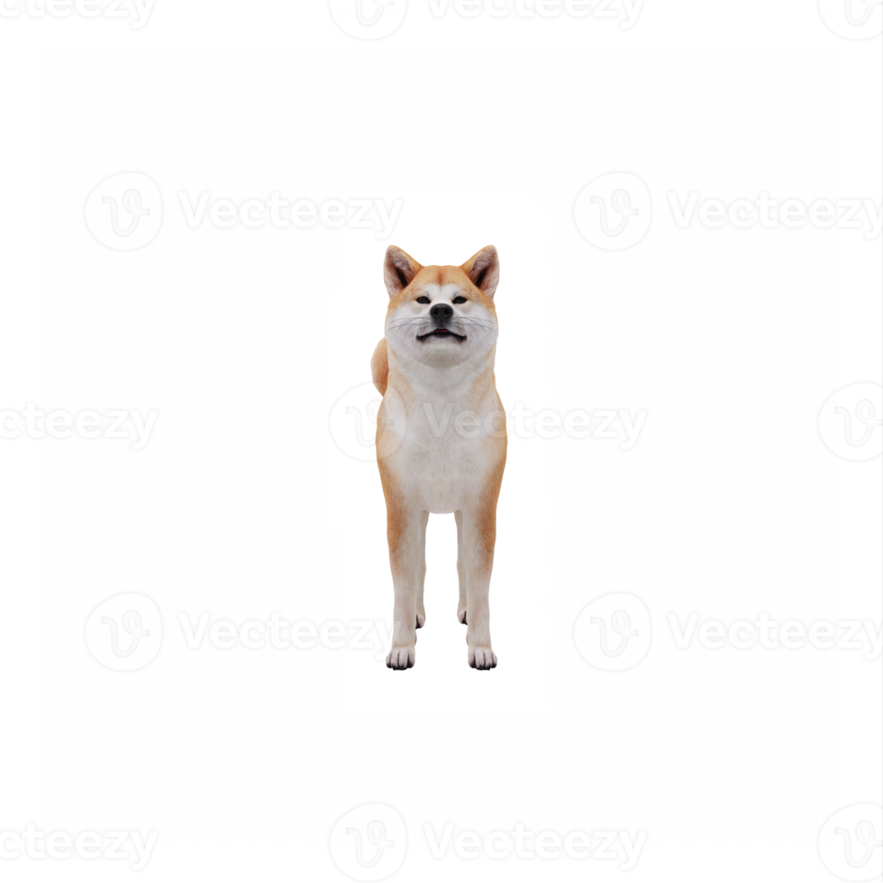 3d Akita Dog png