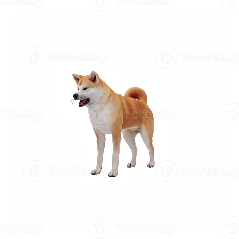 3d Akita Dog png