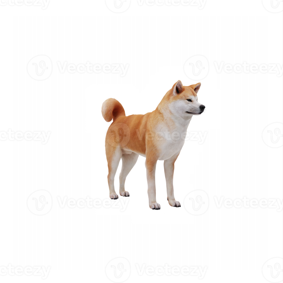 3d Akita Dog png