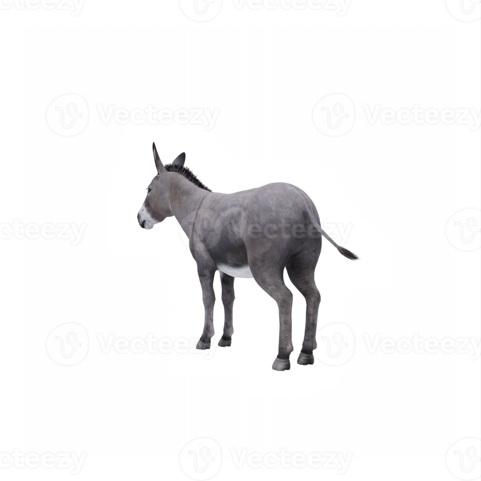 3d Donkey isolated png