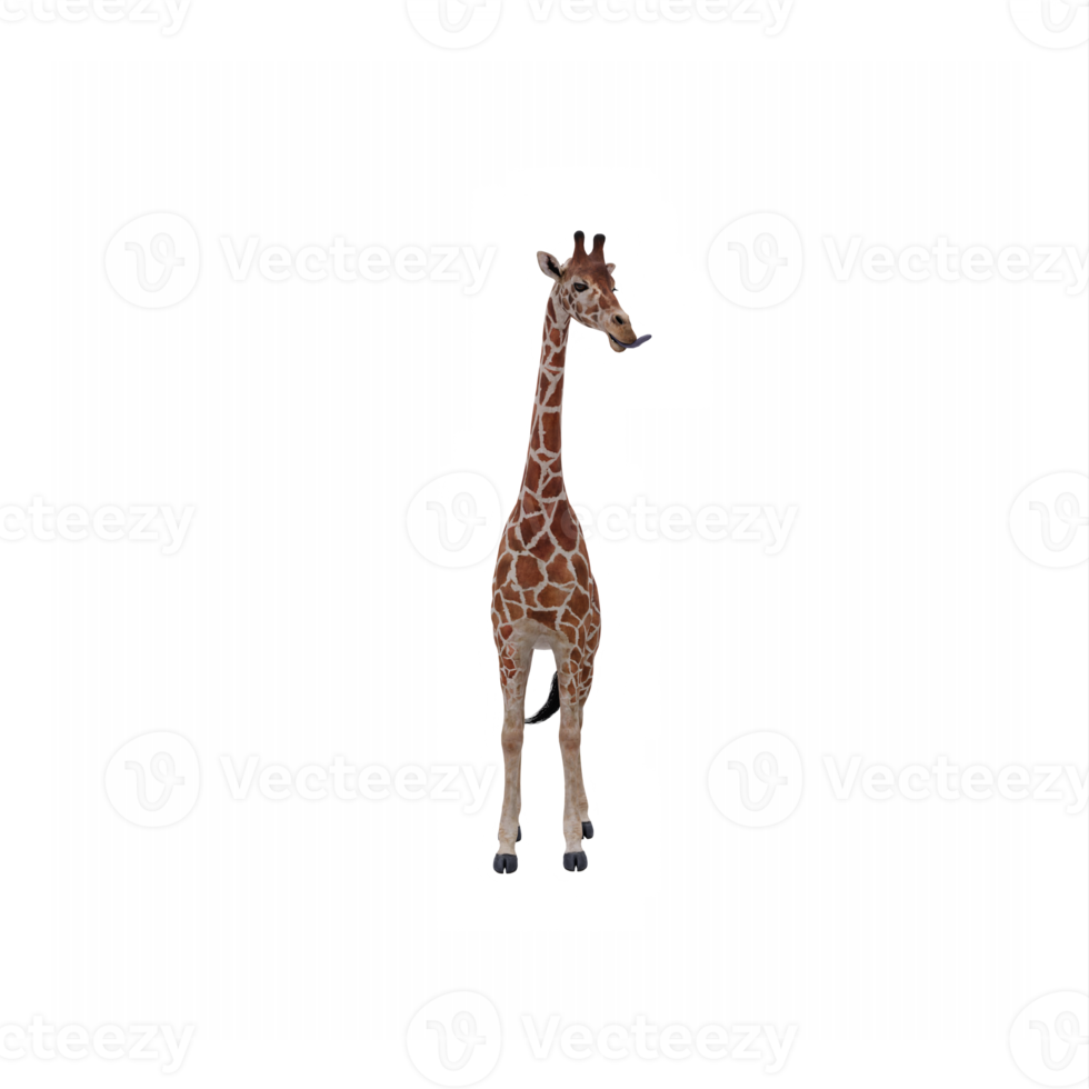 3d Giraffe isolated png