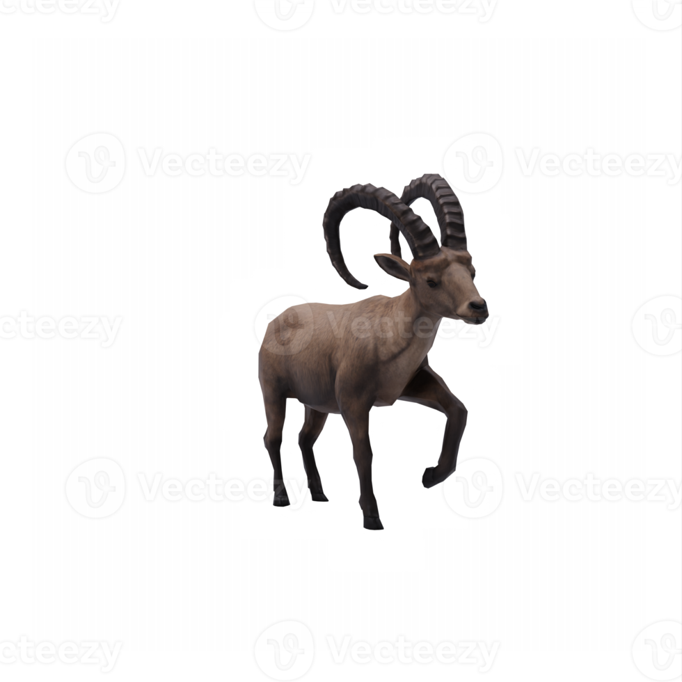 3d Ibex isolated png
