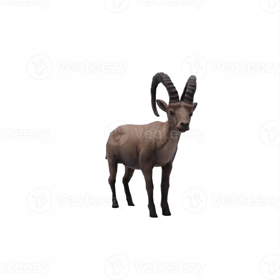 3d Ibex isolated png