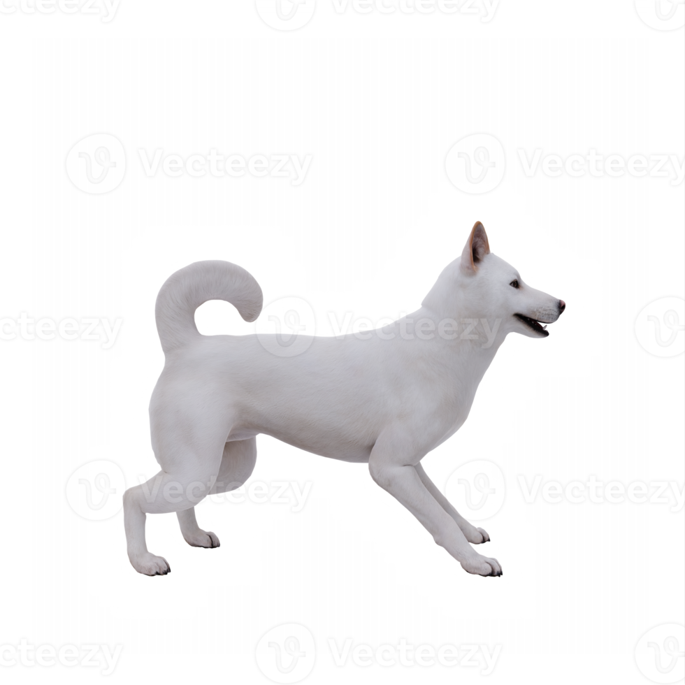 3d jindo chien png