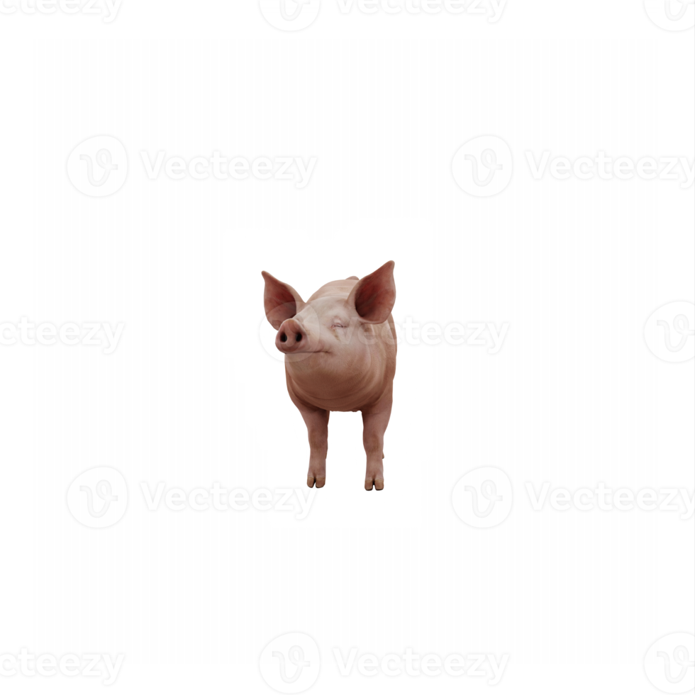 3d cute pig isolated png