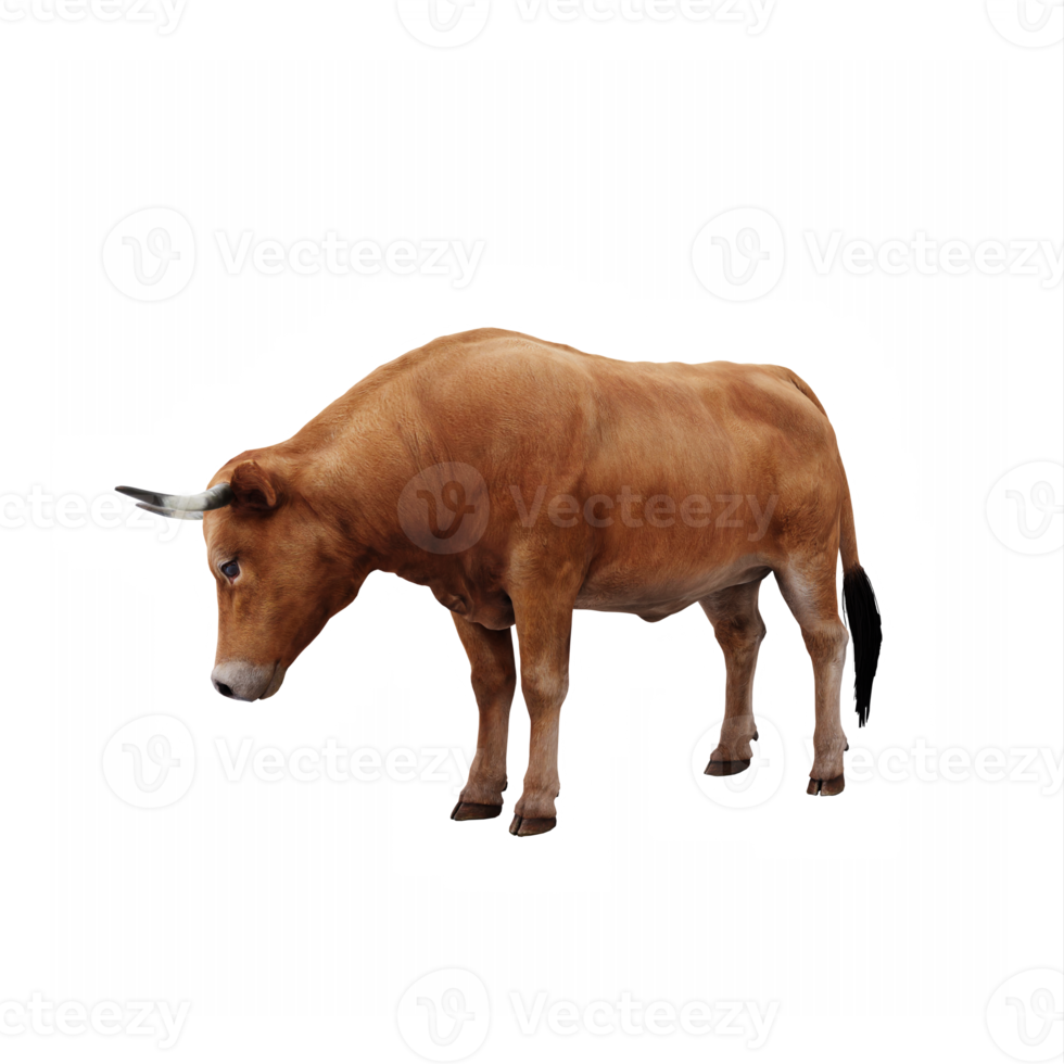 ferme animal bœuf png