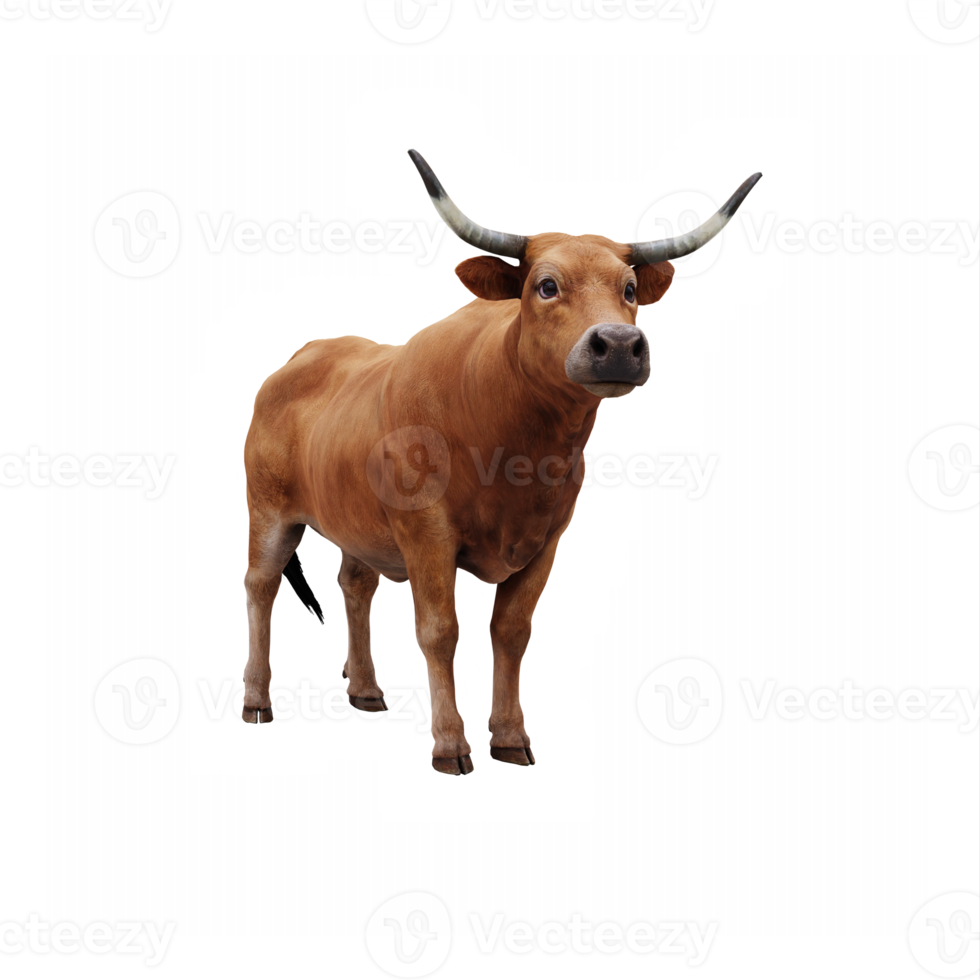 granja animal buey png