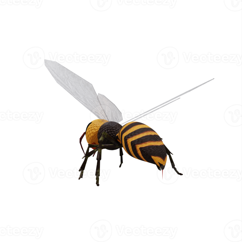 3d Wasp isolated png